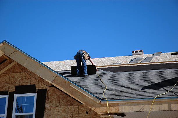 Best Shingle Roofing Installation  in Violet, LA